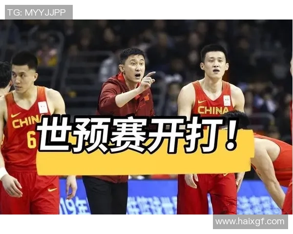 2016年中法篮球友谊赛回顾与展望两国篮球文化交流的深远影响